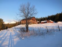 Vinterferie i Søre Skolt i Hemsedal - 12-personers dobbel-hytte til leje