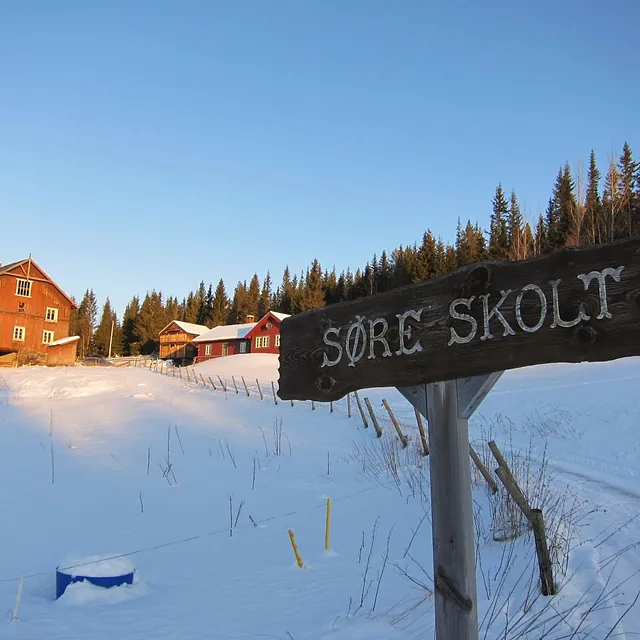 Udleje af to hytter 12 sengepladser i Hemsedal