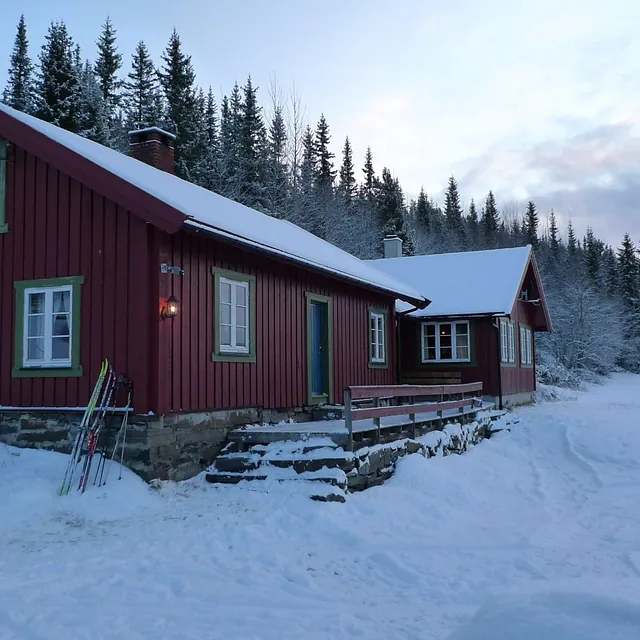 12 personers hytte til leje i Hemsedal nær Gravset langrendsløjper