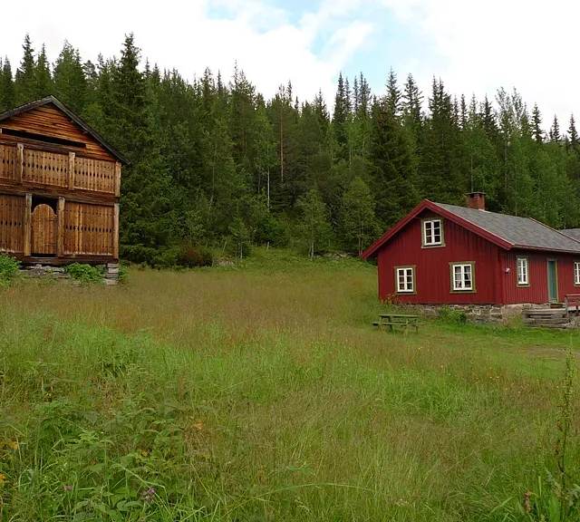 To familiehytter med 12 sengepladser til leje i Hemsedal sommer og vinter