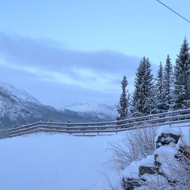Hytter i Hemsedal til leje - kort vej til skicenter og nær langrendsløjper