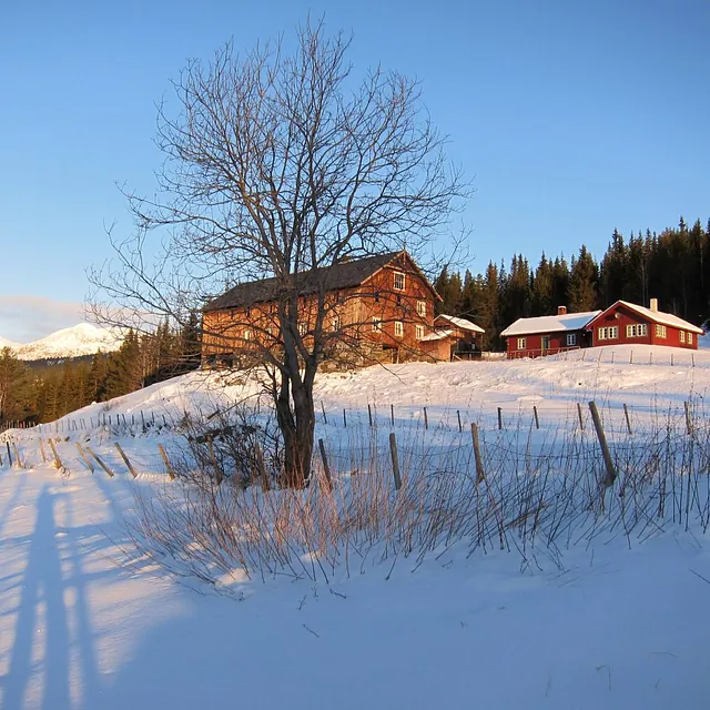 Vinterferie i Søre Skolt i Hemsedal - 12-personers dobbel-hytte til leje