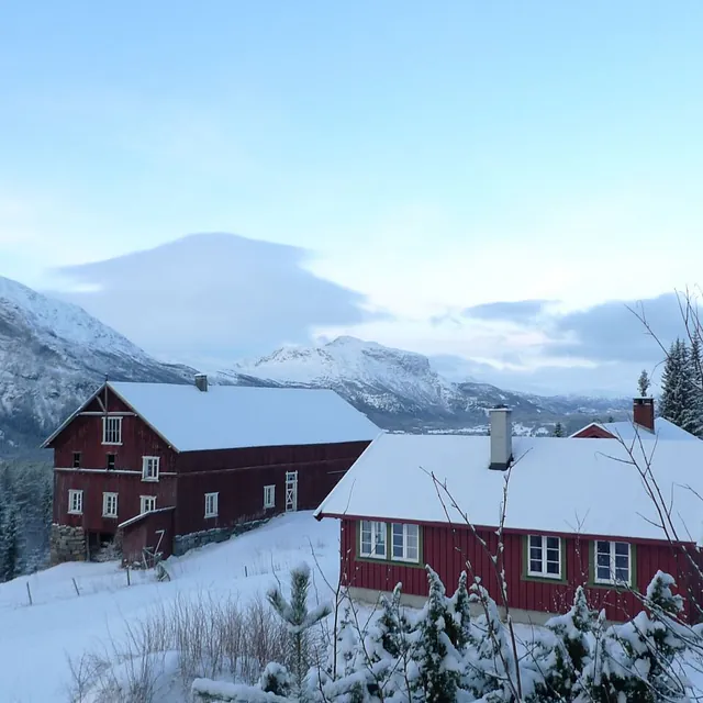 Hytter for to familier, 12 personer, til leje i Hemsedal 15 min fra skicenter